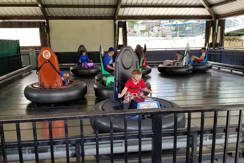 guests enjoying bumper cars